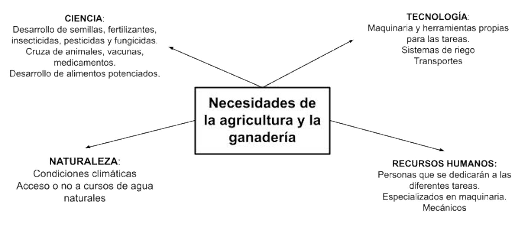mapa conceptural