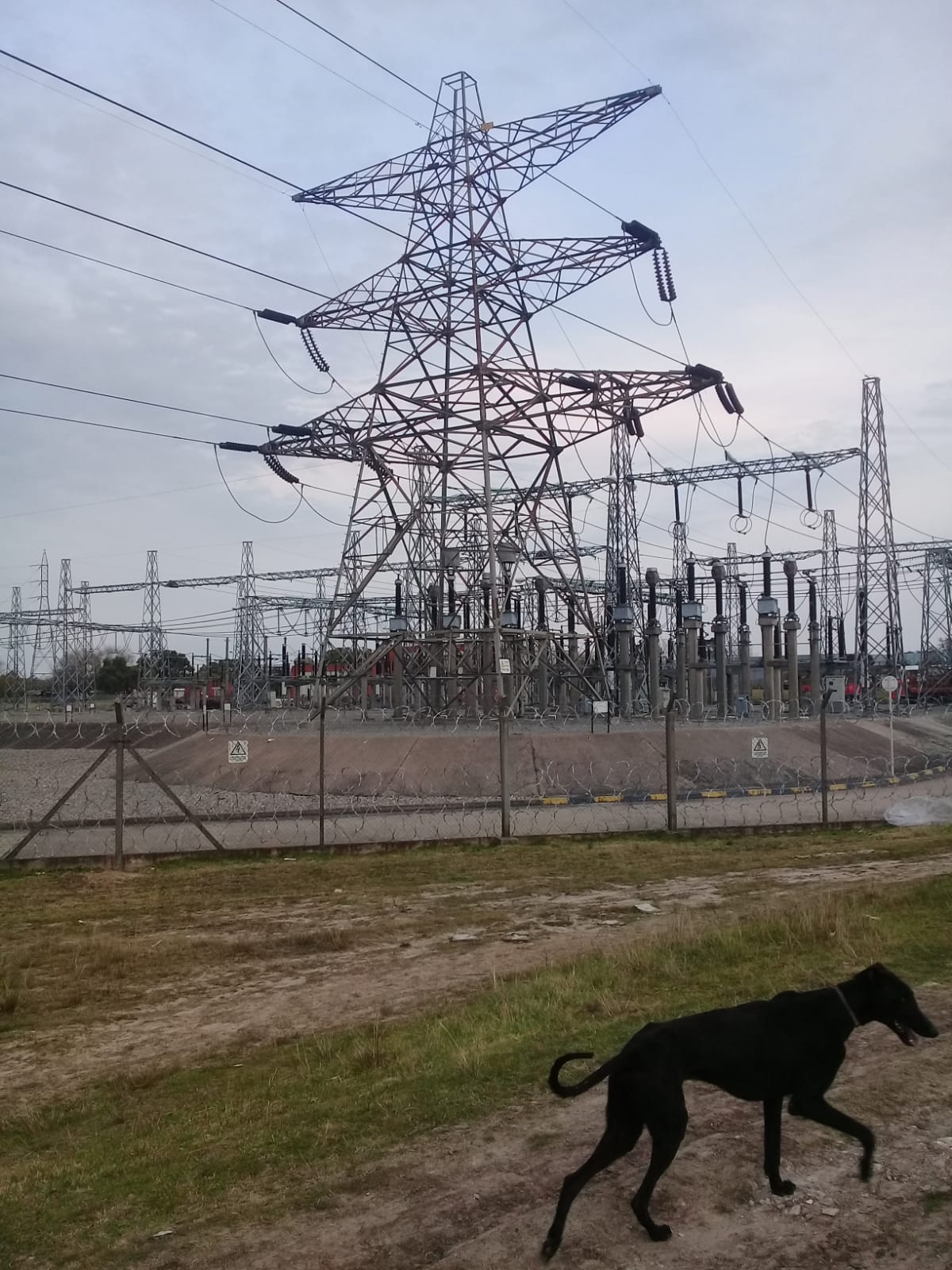 IMG 20190825 WA0057