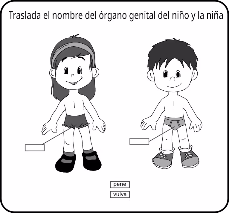genitales niños