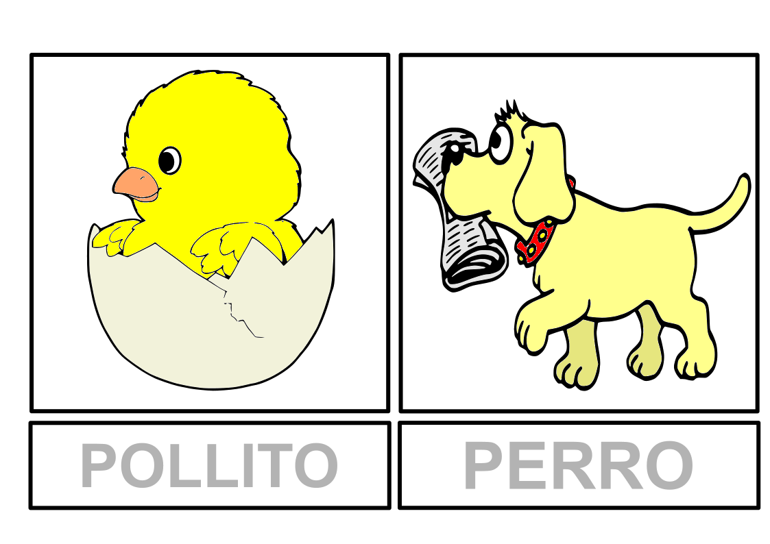 imagen 7