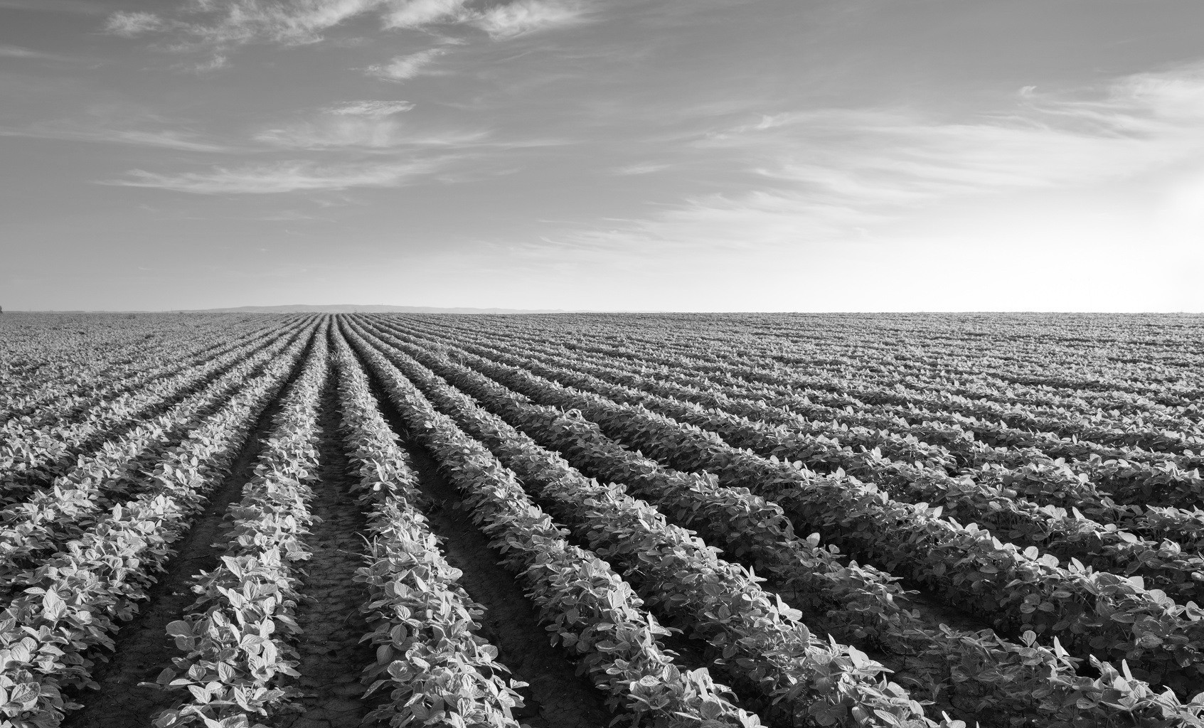 agriculture 1