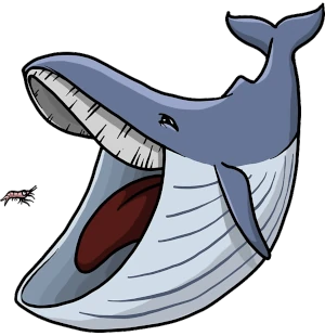 ballena sin fondo