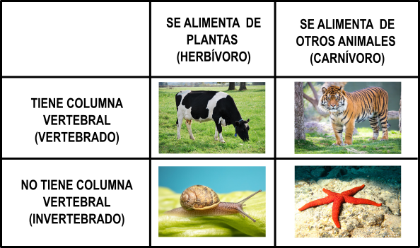 tabla actividad de prueba SEA