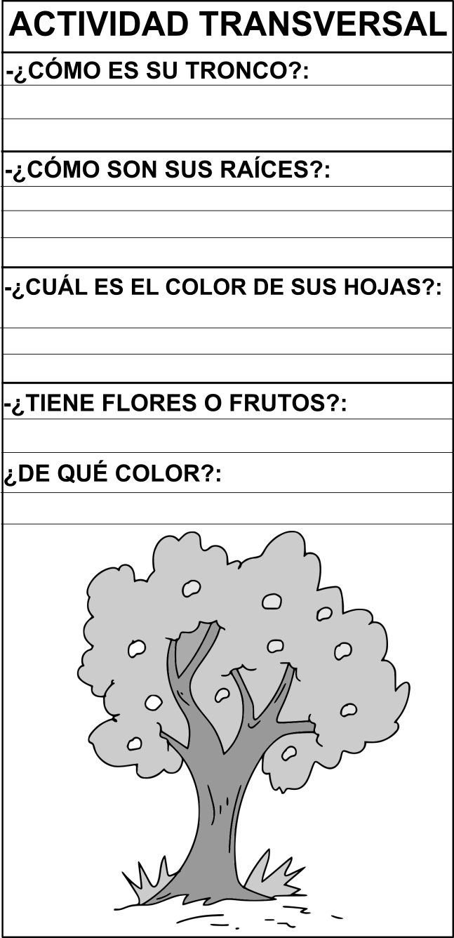 actividad_transversal.png