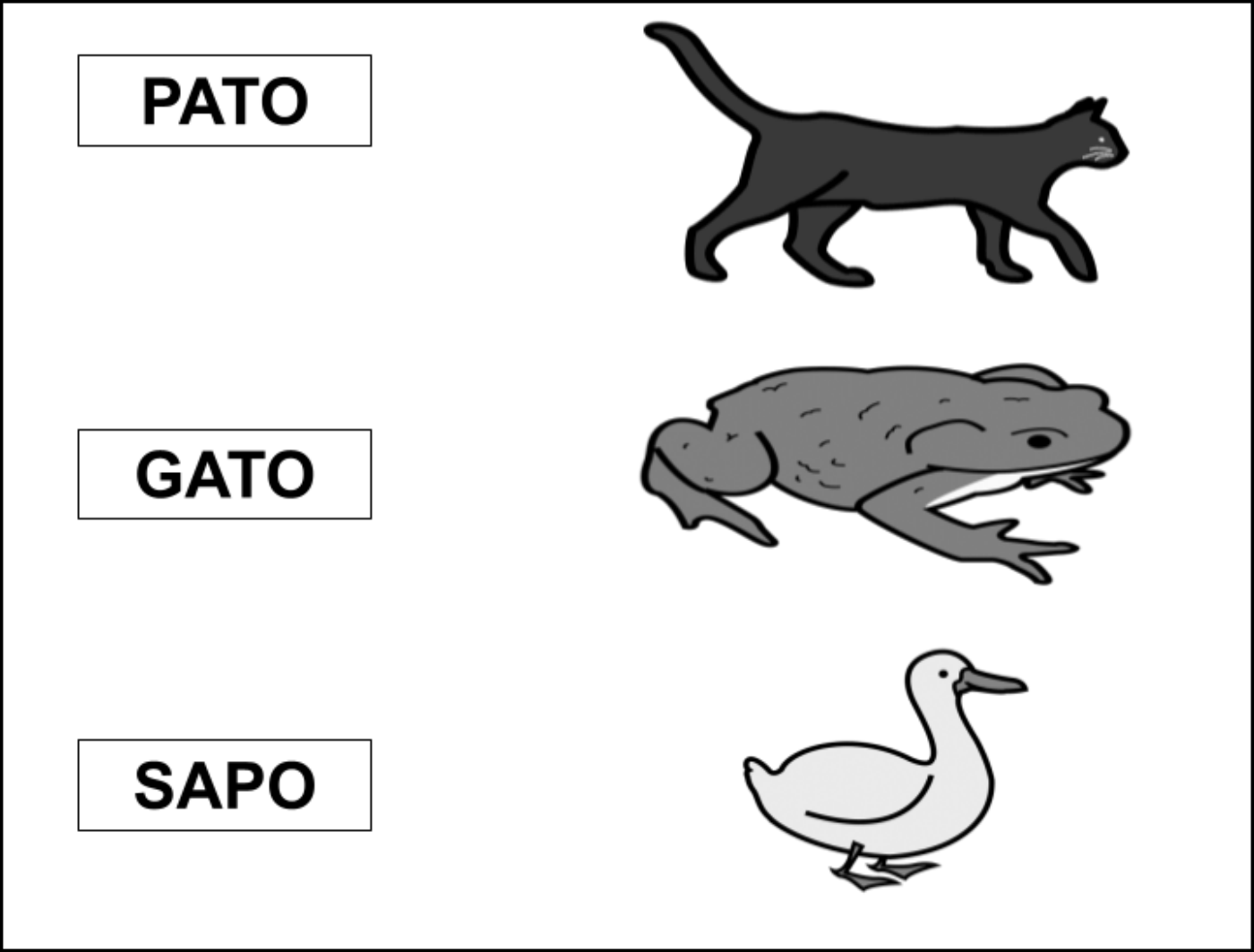 Pictogramas y palabras