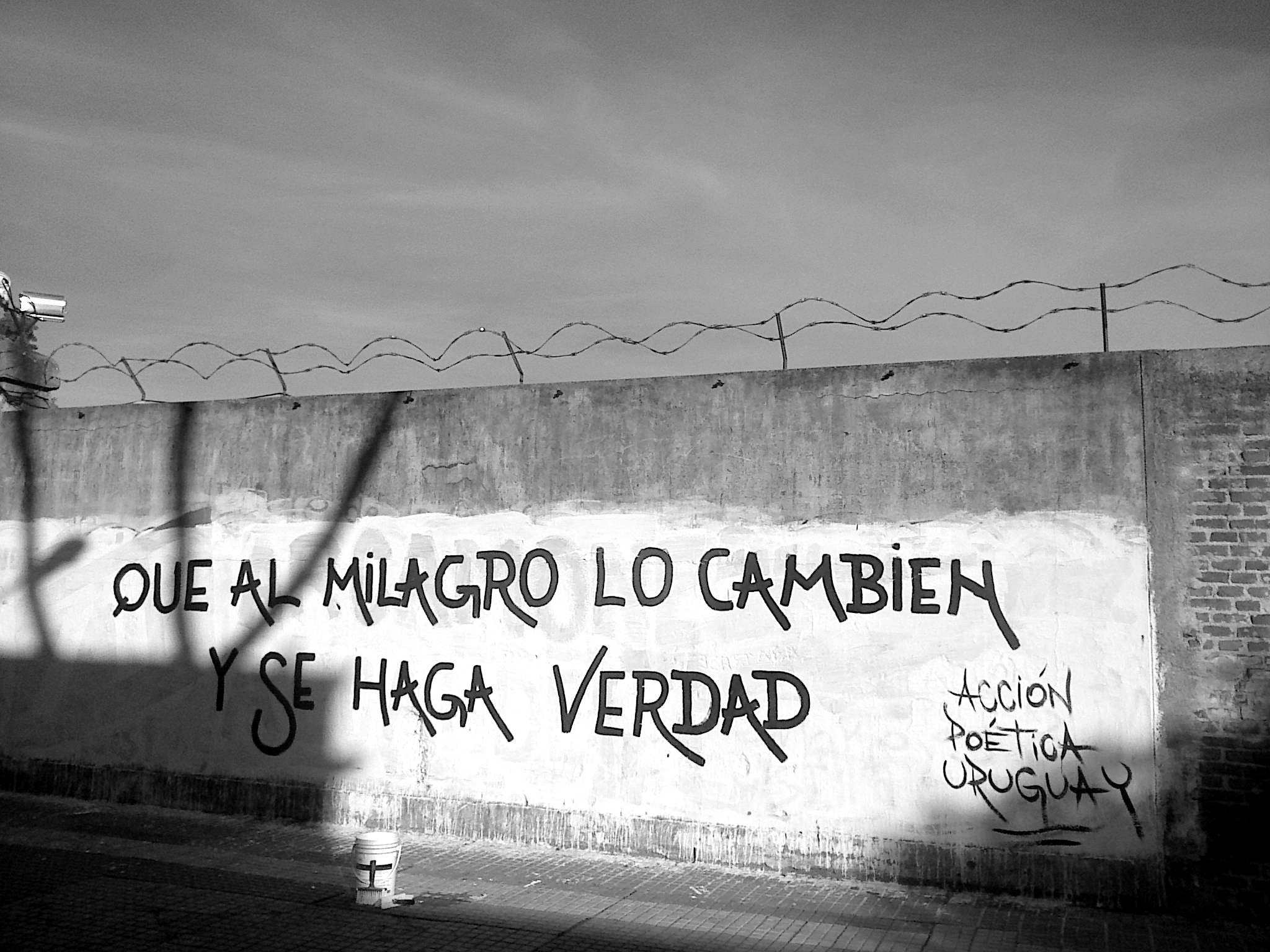 Acción_poética_URuguay_2.jpg