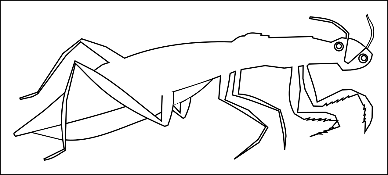 5.png