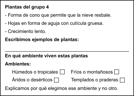 Grupo 4