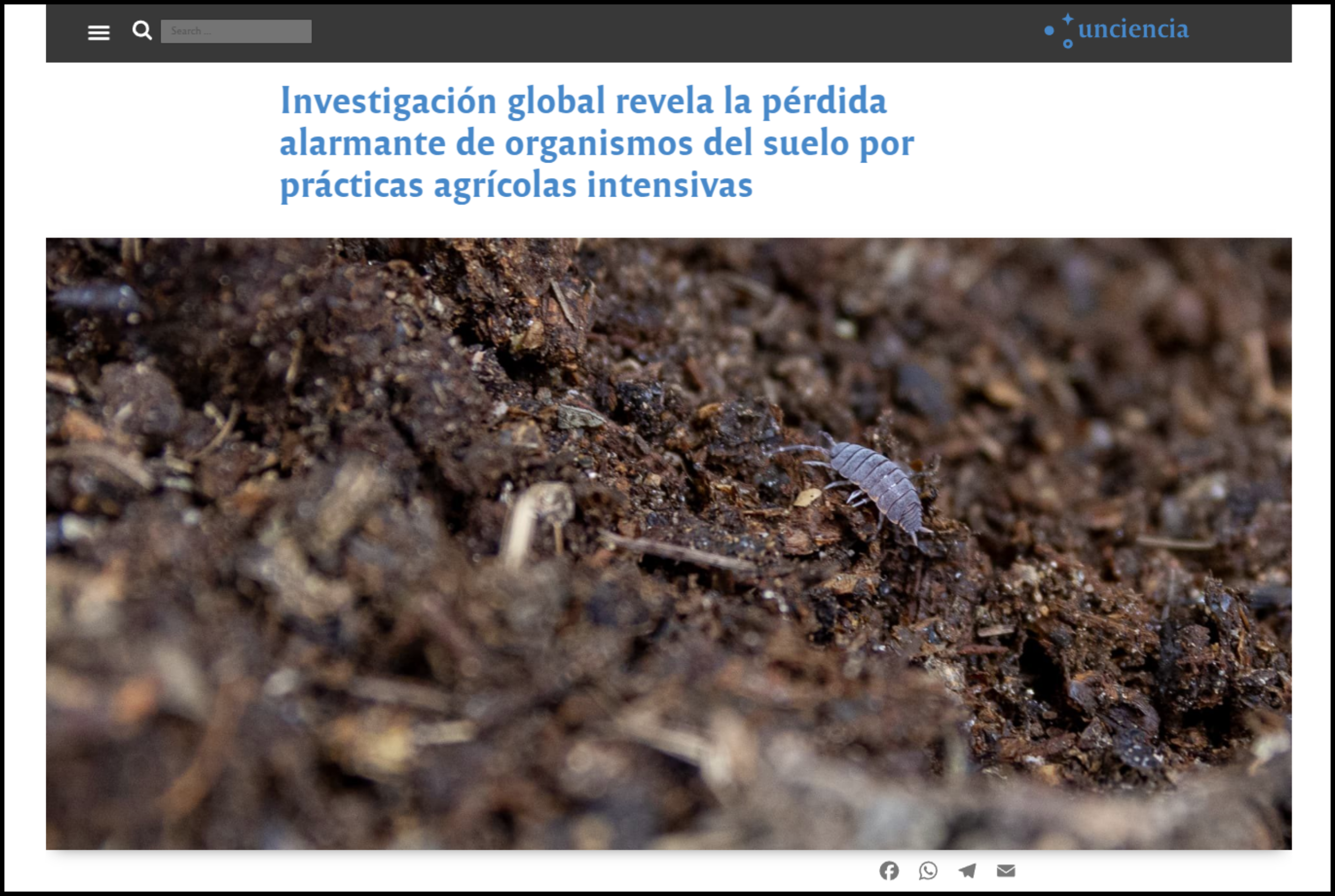 Investigacion profunda