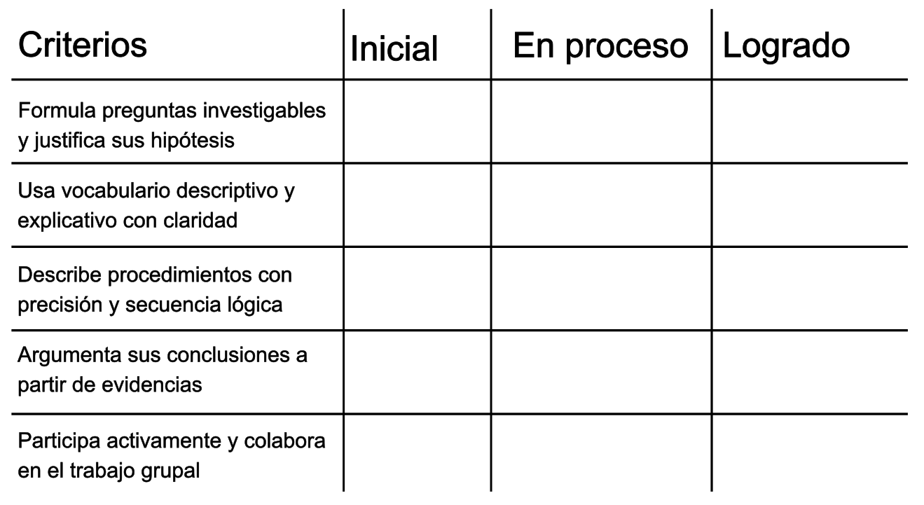 rect1606-3.png