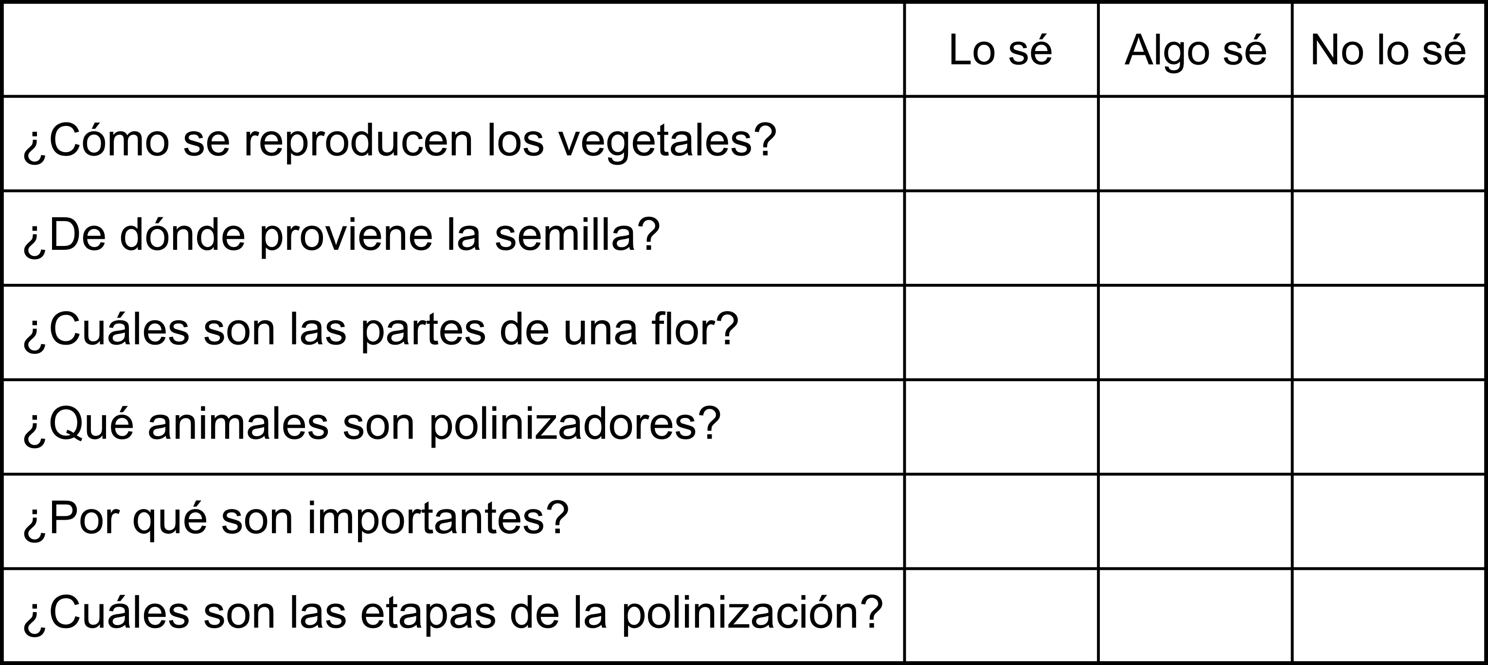 Evaluación