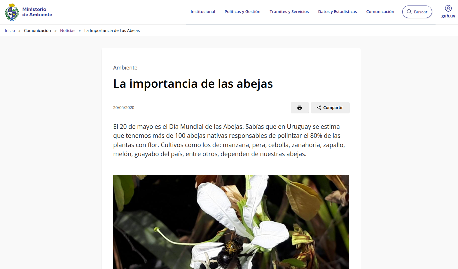 Ministerio ambiente