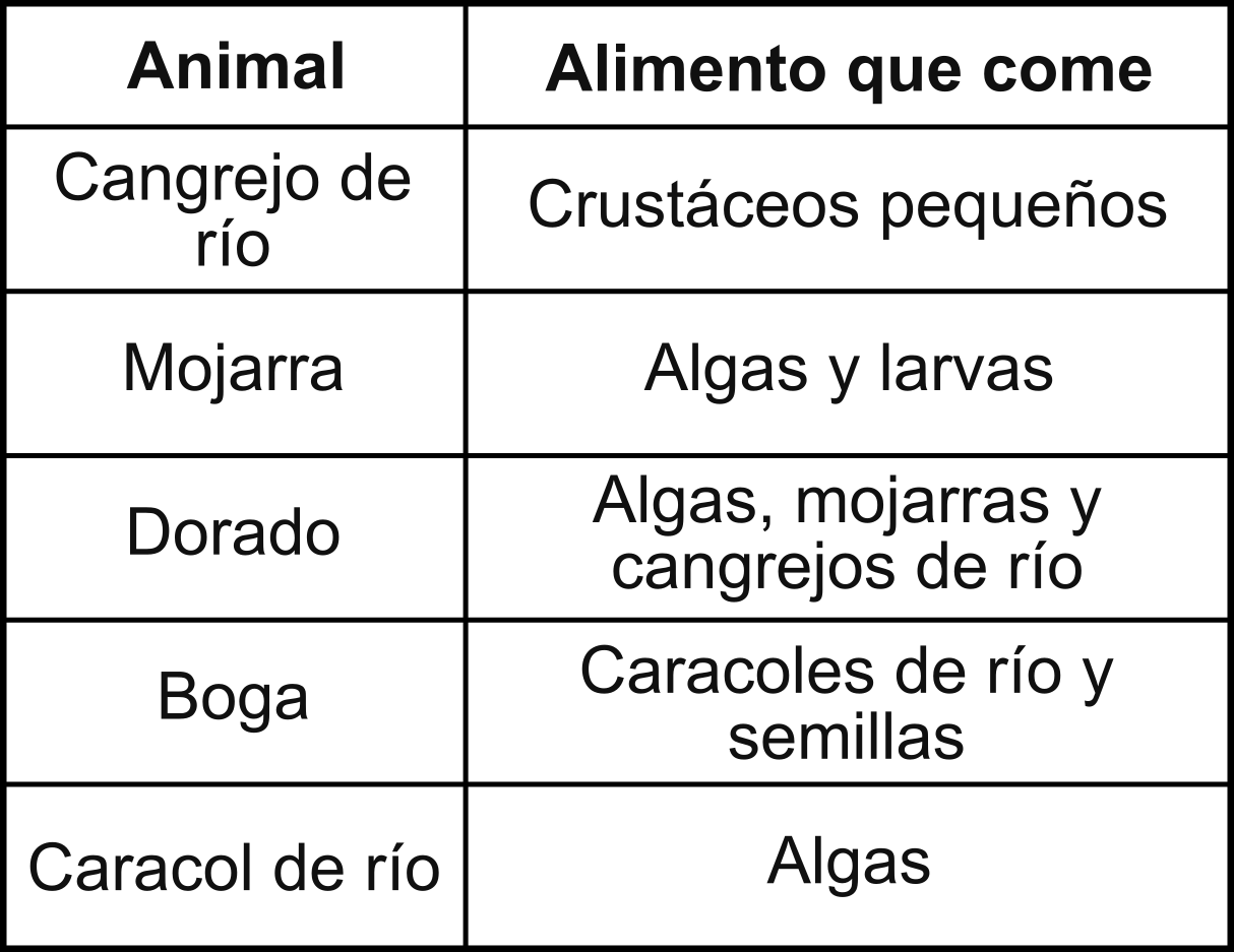 Tabla cadena alimenticia