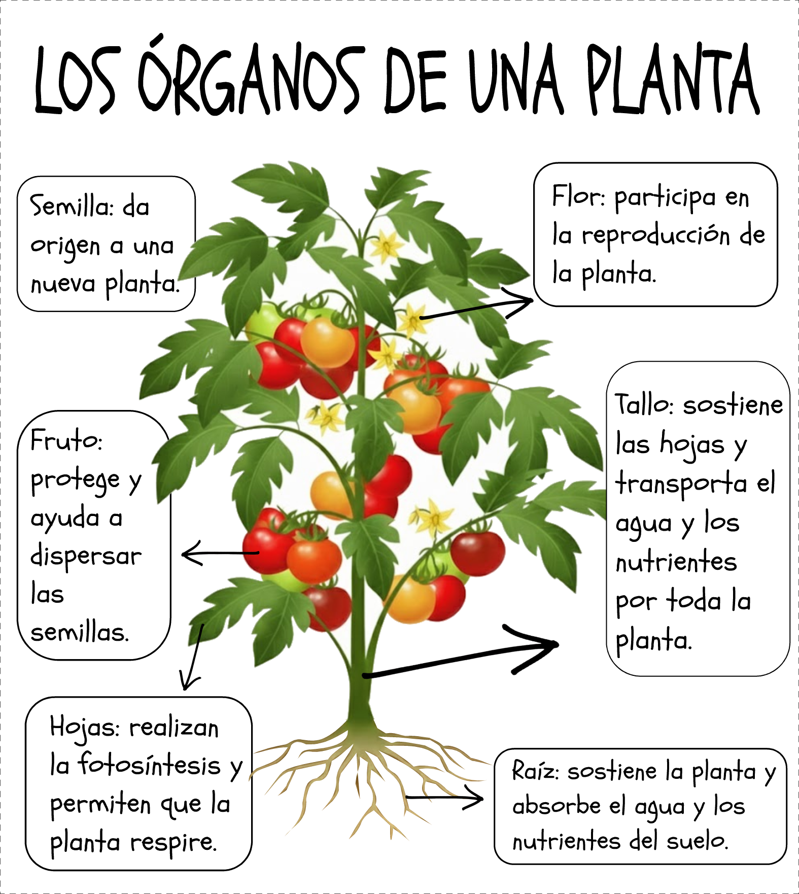 PARA_RECURSOS.png